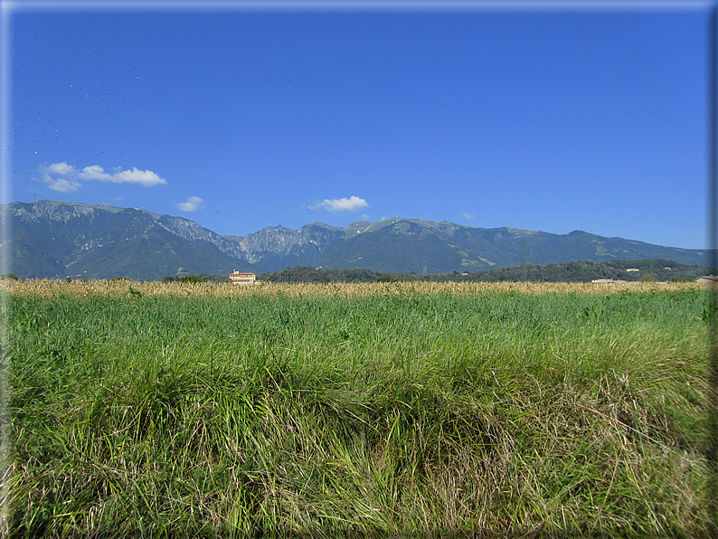 foto Paesaggi tra i Colli